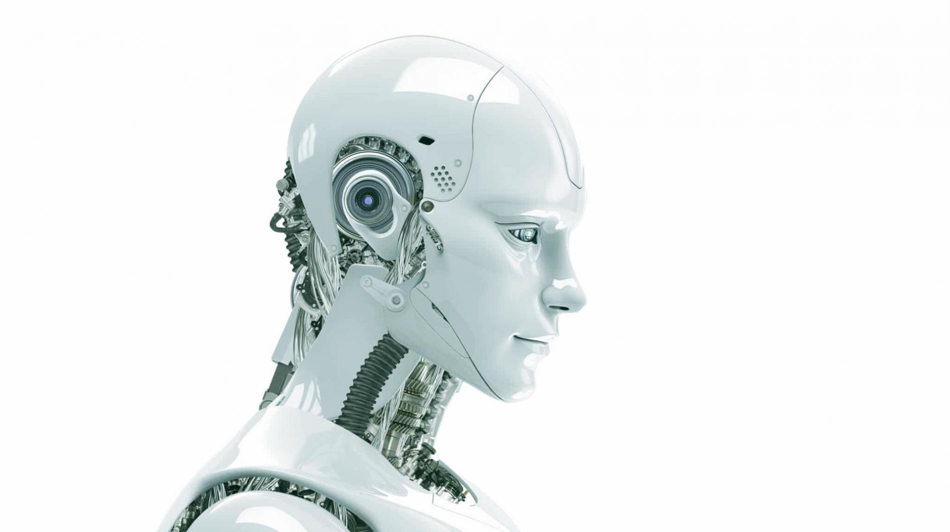 Beispiele realer Projekte von Kursteilnehmern